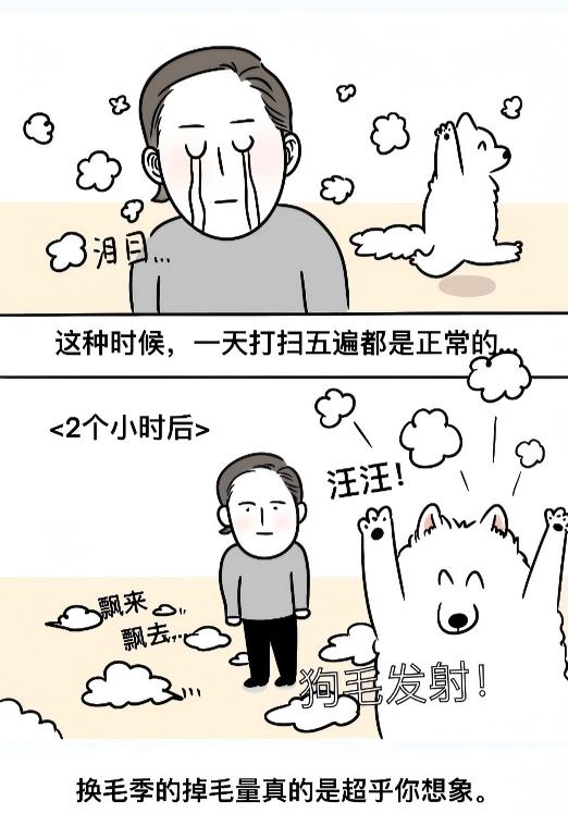 家有狗狗的烦劳,家有狗狗的烦劳漫画
