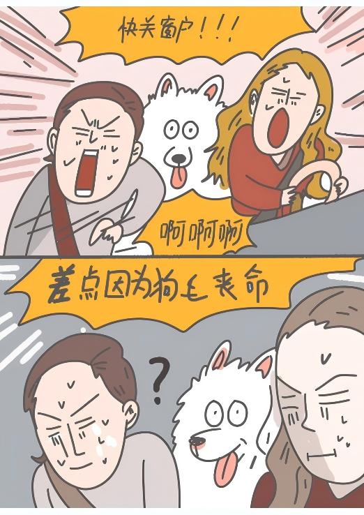 家有爱犬,家有爱犬漫画
